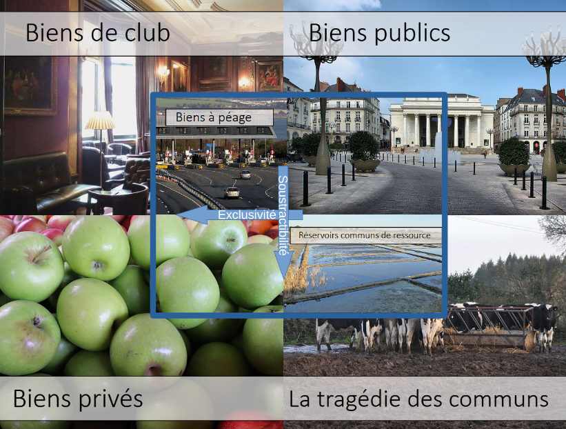 Composition de 5 cartes de la Toile des communs illustrant la classification des biens selon Elinor Ostrom
