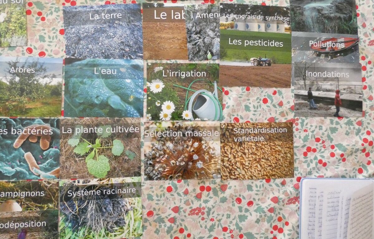Des cartes disposées sur une table