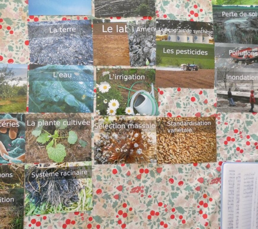 Des cartes disposées sur une table